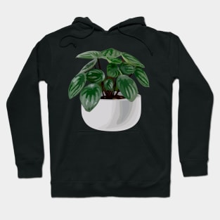 Peperomia argyreia watermelon Hoodie